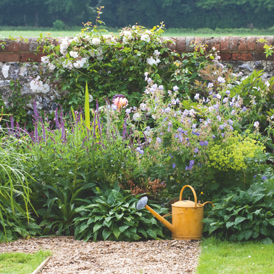 The irrigation tricks gardeners swear by to keep plants alive during a heatwave – their top secrets to save thirsty plants