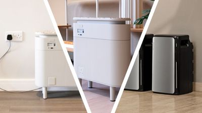 ‘Plug-in batteries are the real game-changer’: I talked to Octopus Energy and Anker about the home energy revolution than could soon be 'bigger than solar' for millions