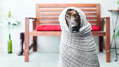 Retirement Can Scare You No Matter How Confident You Are: This Is How to Tame the Beast