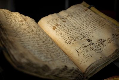 ‘More than just objects’: Australian booksellers raise alarm over ‘horrific’ destruction of rare titles to feed AI