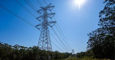 'Lack of social licence': what Upper Hunter council says renewables project is missing