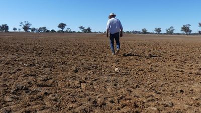 'Cancer doesn't wait': a new plan to help rural men