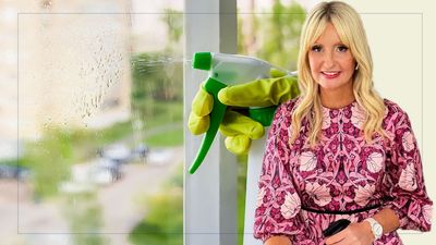 Cleaning expert reveals the important reason you should avoid cleaning windows during sunny weather