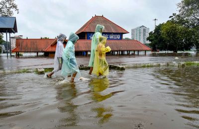Kerala weather, August 2: Is your district on the orange alert list? Check latest IMD forecast, exam updates