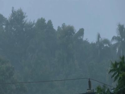 Weather updates today, August 2: IMD issues rain alert; check if your state is on the list