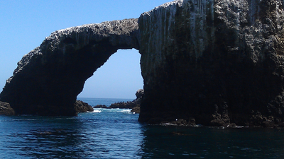 In 2001, California began using helicopters to scatter poisoned grain across Anacapa Island after black rats devoured up to 70% of seabird eggs