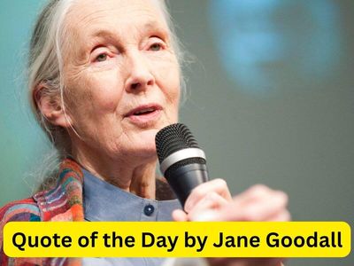 Quote of the Day by Jane Goodall: “It actually doesn’t take much to be considered a difficult woman. That’s why…” British scientist’s powerful words about being a “difficult woman” reveal why standing up for yourself can change everything