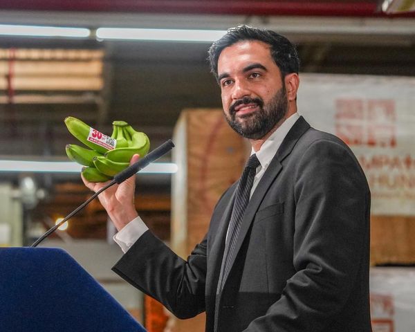 Can Mamdani plan for city-owned stores deliver cheap food for New Yorkers?
