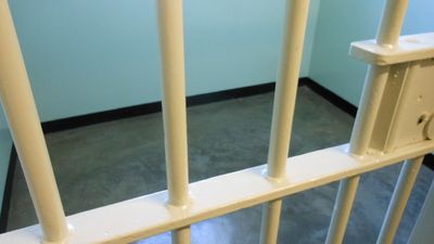 ‘I have been afraid for my life for two years’: Ex-NY parole commissioner says she was fired after objecting to a killer’s release