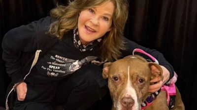 Linda Blair's home raided: ‘The Exorcist’ star’s California property searched over reported kennel operation after officials make surprising discovery, here's what happened