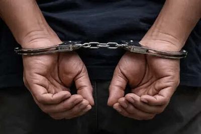 10 kg heroin, foreign-made weapons seized along Indo-Pak border in Bikaner, one held