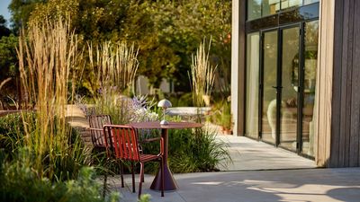 Every Garden Should Have a 'Patio Island' — The Overlooked Trend Landscape Designers Use to Make Your View So Much More Layered With Planting