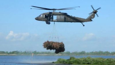 New Orleans collected 9,000 discarded Christmas trees and airlifted them into coastal wetlands; the programme has restored marsh equal to nearly 200 football fields