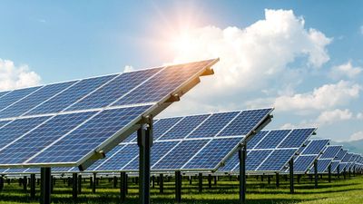 Massachusetts farm installs 832 solar panels above berry fields, and the berries grown underneath turned out sweeter and juicier and could change the future of American farming