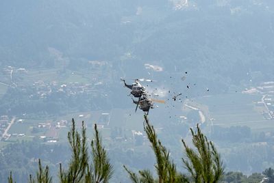 Disaster Strikes Greek Wildfire Mission as Firefighting Helicopters Collide Mid-Air West of Athens