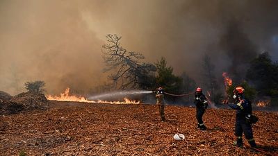 Helicopters and firefighters fight fast-moving wildfire near Athens