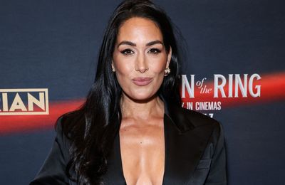 Nikki Bella shares health on twin Brie Bella's shoulder injury from WWE SummerSlam 2026 match