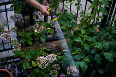 Millions of UK households will ignore hosepipe ban, survey indicates