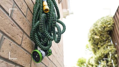 Garden expert reveals the watering tools you can use during a hosepipe ban to keep plants hydrated in the heat