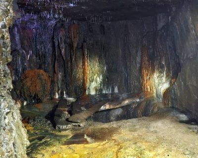 Country diary: Down an old lead mine, an explosion of colour