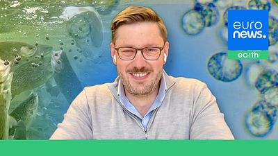 This Scottish startup saves wild fish by replacing them with Omega-3 algae fed on whisky waste