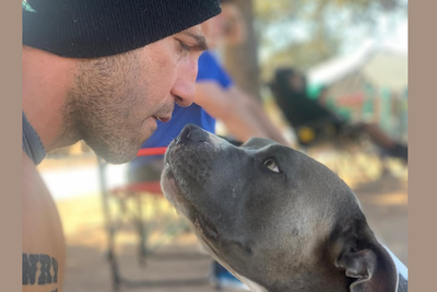 Ever Heard of Dog Racism? Punisher Actor Blasts Pit Bull Fear as Pure Prejudice on Howard Stern