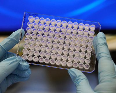 AstraZeneca shares fall 8.9% over merger talks with US cancer drug firm