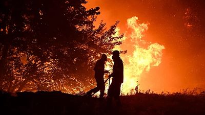 What should the EU prioritise to tackle wildfires? Take our poll
