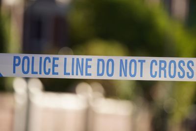 Arrests made after man shot dead at traveller site in Wiltshire