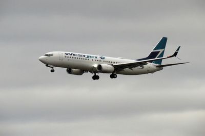 Westjet Strike Grounds Flights as Cabin Crew Fight Over the Hours They Work for Free