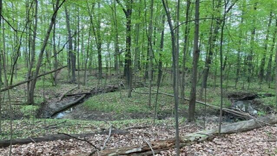 Toll Brothers sued: Michigan woman claims luxury housing project could block access to her land, harm environment