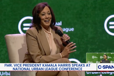Kamala Harris teases adding two states to US and expanding Supreme Court as she mulls another White House run