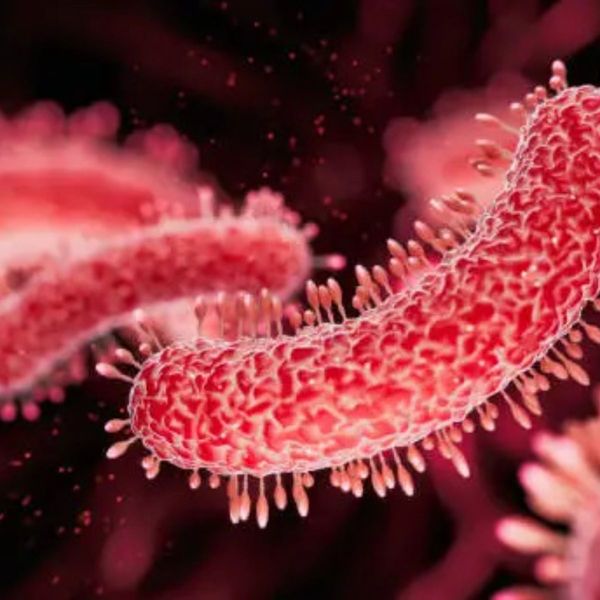 New York Ends Upper East Side Legionnaires Response After Seven DeathsNo Source Tower Confirmed