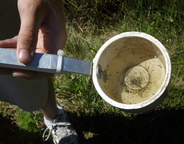 Maryland Confirms Its First West Nile Case of 2026 but Will Not Say Which County the Patient Lives In