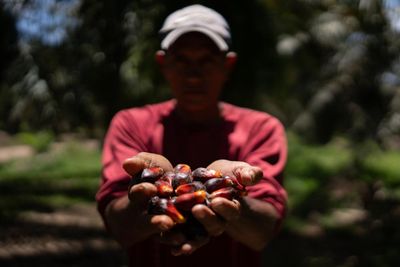 ‘Danger no longer only comes from the hitmen, but from the state’: the Honduran farmers labelled terrorists for protecting their land