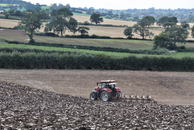 UK Food Shortage Fears Grow as Drought Leaves Some Farmers Facing Their Last Harvest