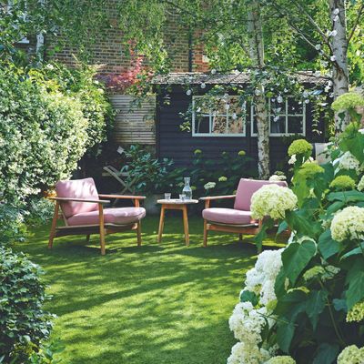 Gardeners warned to avoid this one lawn care job during a heatwave or risk destroying their grass – it sounds like a good idea, but it's best avoided