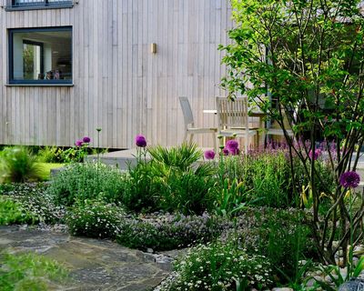 Facing a Hosepipe Ban? Here's How Landscape Designers Are Tackling Summer Water Shortages