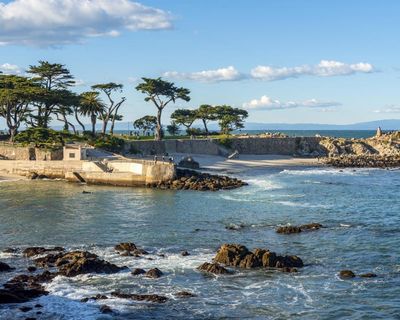 Single shark bite led to death of woman off California coast, autopsy shows