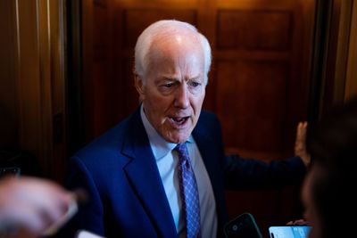 Blanche bid to move ahead with ‘weaponization’ fund ‘dead’