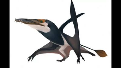 In 2017, hundreds of fossil eggs in China revealed that Pterosaurs or ancient flying reptiles may have raised their young