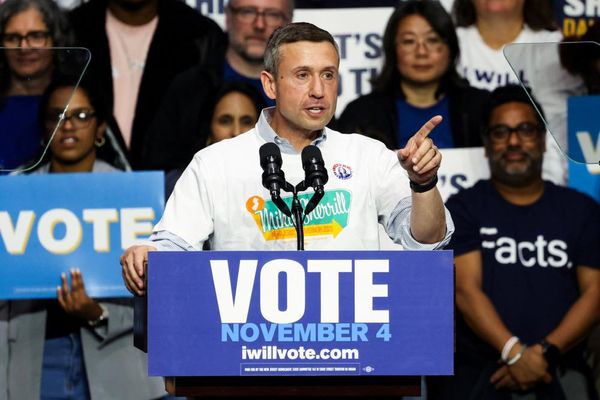 Author of Democrats’ 2024 election autopsy report says chapter was left out