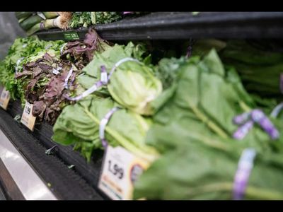 Michigan cyclosporiasis outbreak leaves 2 dead and more than 11,000 sick: What to know about the parasite, lettuce fears and the food safety concerns now emerging