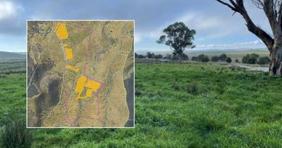 Massive battery proposed for historic ACT sheep farm