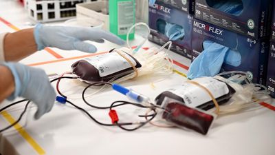 Urgent call to give blood as flu season depletes stocks