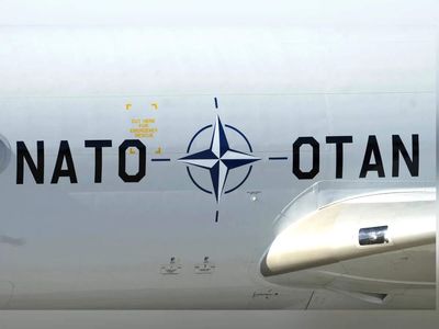 Former Ukrainian top commander sees no prospect of Kyiv joining NATO