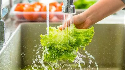 US outbreak turns deadly: First two deaths linked to 'explosive diarrhoea'