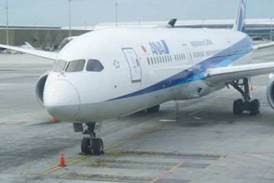 ANA flight makes evasive manoeuvre before landing at Tokyo's Haneda airport