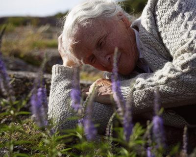 The Summer Book review – Glenn Close powers sweet-natured take on Tove Jansson’s grief classic