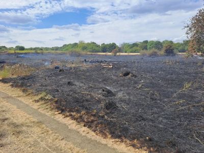 Firefighters tackle grass fire in Woolwich amid amber heat alert